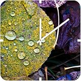 IMAGE OF Square Clock Fallen Leaf (by DENY Designs)