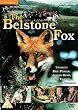 The Belstone Fox [1973] [DVD]