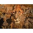 Camo Lion 1000pc Jigsaw Puzzle by D.L. "Rusty" RUST