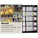 M. Graham Tube Watercolor Paint Cityscape 5-Color Set, 1/2-Ounce