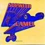 The Sopwith Camel