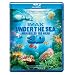 Under the Sea 3D Blu-ray / 2D Blu-ray Combo