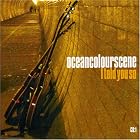 I Told You So Pt.2 by  Ocean Colour Scene 
