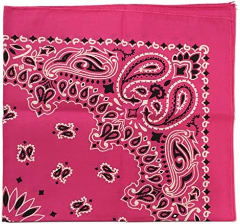 Essma ClothingUSA Made Military Army Trainmen Paisley 22" X 22" Bandanas Dozen (12 Pcs) (Hot Pink)