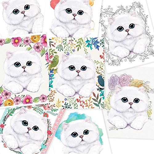 White Persian Kitty Cat Postcards Set of 8, Printed on Eco-Friendly Paper Perfect for Collecting Interior Decorating and Wedding Gift, Welcome Greeting Thank You Message Designed in USA