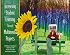 Increasing Student Learning Through Multimedia Projects