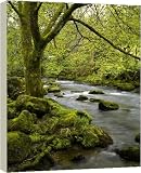40 Inch Box Canvas 101cm England Cumbria Lake District National Park By Jason Friend