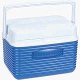 Outdoor Living : RUBBERMAID 5 Quart Cooler
