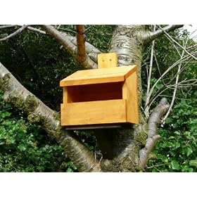 Blackbird nest box