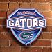 Florida Gators Team Neon Wall or Window Lamp NCAA College Athletics Fan Shop Sports Team Merchandise
