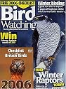 Bird Watching