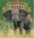 Endangered Elephants (Earth's Endangered Animals)