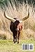 African Ankole Watusi Cow Journal: 150 page lined notebook/diary