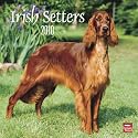 Irish Setters 2010 Wall
