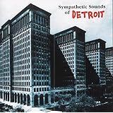 Sympathetic Sounds of Detroitpar Various Artists