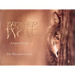 Brother Wolf: A Forgotten Promise
