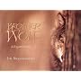 Brother Wolf: A Forgotten Promise