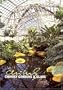Chihuly - Gardens & Glass