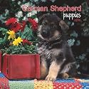 German Shepherd Puppies 2008 Mini Wall Calendar (German, French, Spanish and English Edition)