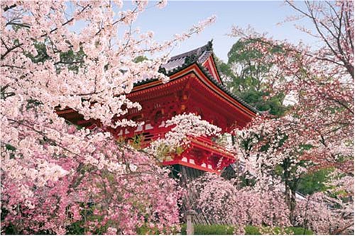 1000ピース 桜咲く仁和寺-京都 10-589S