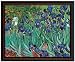 Irises by Vincent van Gogh. Print. Poster 20
