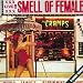 Smell of Female
