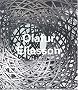 Olafur Eliasson (en anglais)