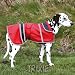 Dog Coat T-Coat Valence Extra Large 70cm
