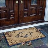39 NCAA Arkansas Razorbacks Logo Doormat by 