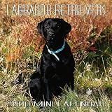 Labrador Retrievers 2000 Mini Calendar
