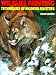 Wildlife Painting: Techniques of Modern Masters (Practical Art Books)