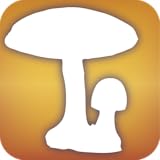 Audubon Mushrooms - A Field Guide to North American Mushrooms