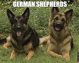 German Shepherds 2013 Wall Calendar