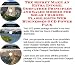 Book The Secret Make An Extra Income, Godfather Principles and Sales Models for Solar Charged Flashlights Web Businesses 3 CD Power Pack