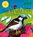 10 Bright Eyes