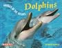 Dolphins (Animals of the Oceans)