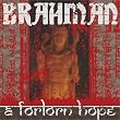 a forlorn Hope