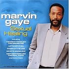 Sexual Healing by Marvin Gaye