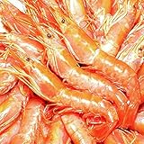 築地の王様 赤海老 2kg 赤えび 超特大 L1サイズ 1箱20～40尾 赤エビ お刺身用 業務用