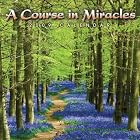 Click here to buy A Course in Miracles 2009 Wall Calendar by  Miracle Distribution Center.
