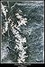 Laminated Rocky Mountain National Park, Colorado satellite poster photo print view map: 24