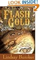 Flash Gold (a steampunk novella set in the Yukon) (The Flash Gold Chronicles)