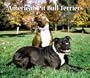 American Pit Bull Terriers, For the Love of 2010 Deluxe Wall (Multilingual Edition)