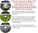 The Fantastic How To Earn Extra Money, Inner Game and Accounting & Finance for Baby Powder Web Biz 3 CD Course