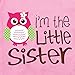 Nursery Decals and More, Matching Family Outfits, Family Outfits Matching Sets, Owl Big Sister/Owl Little Sister, Big Sibling 2T / Lil Sibling NB (0-3M)