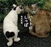 ハートのしっぽ