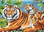 15-1/4 Inch x11-1/4 Inch Junior Paint By Number Kit - Tiger & Cubs
