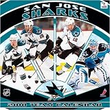 San Jose Sharks 2010 12x12 Team Wall Calendar