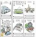 Heritage Playing Cards - History of Transport by Rail