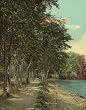 Path, Lake George, New York, 1904 - Exceptional Print of a Vintage Photochrom Image from the Library of Congress Collection
